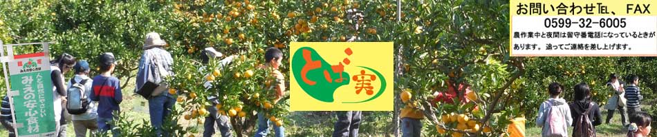 �݂���@�Y��