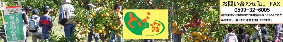 �݂���Y���̂ƂΔ�